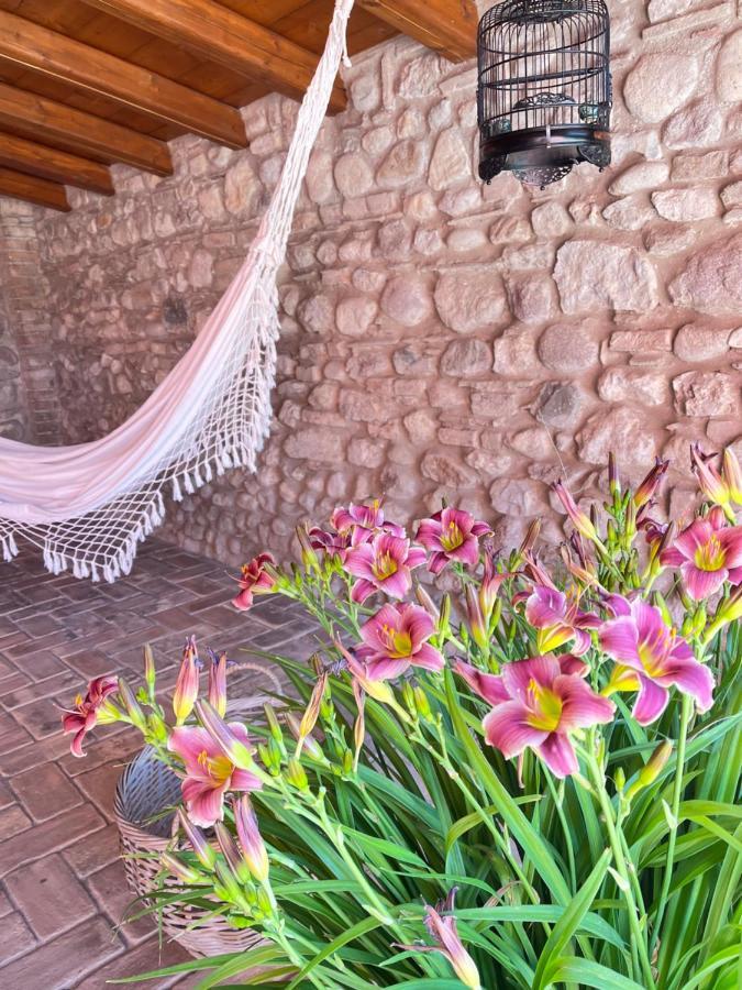 Le Mansarine Charme B&B Castellaro  Exterior photo